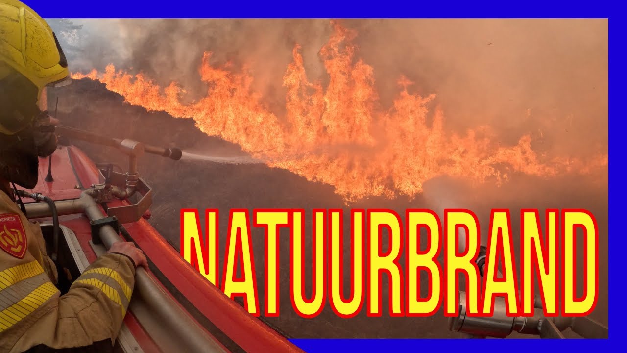 Largest Wildfire of the Year - Dutch Volunteer Firefighters