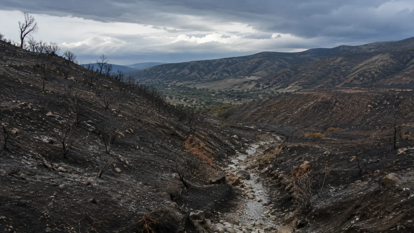 Blackened hillside burn scar above a valley with a dry creek bed running through it