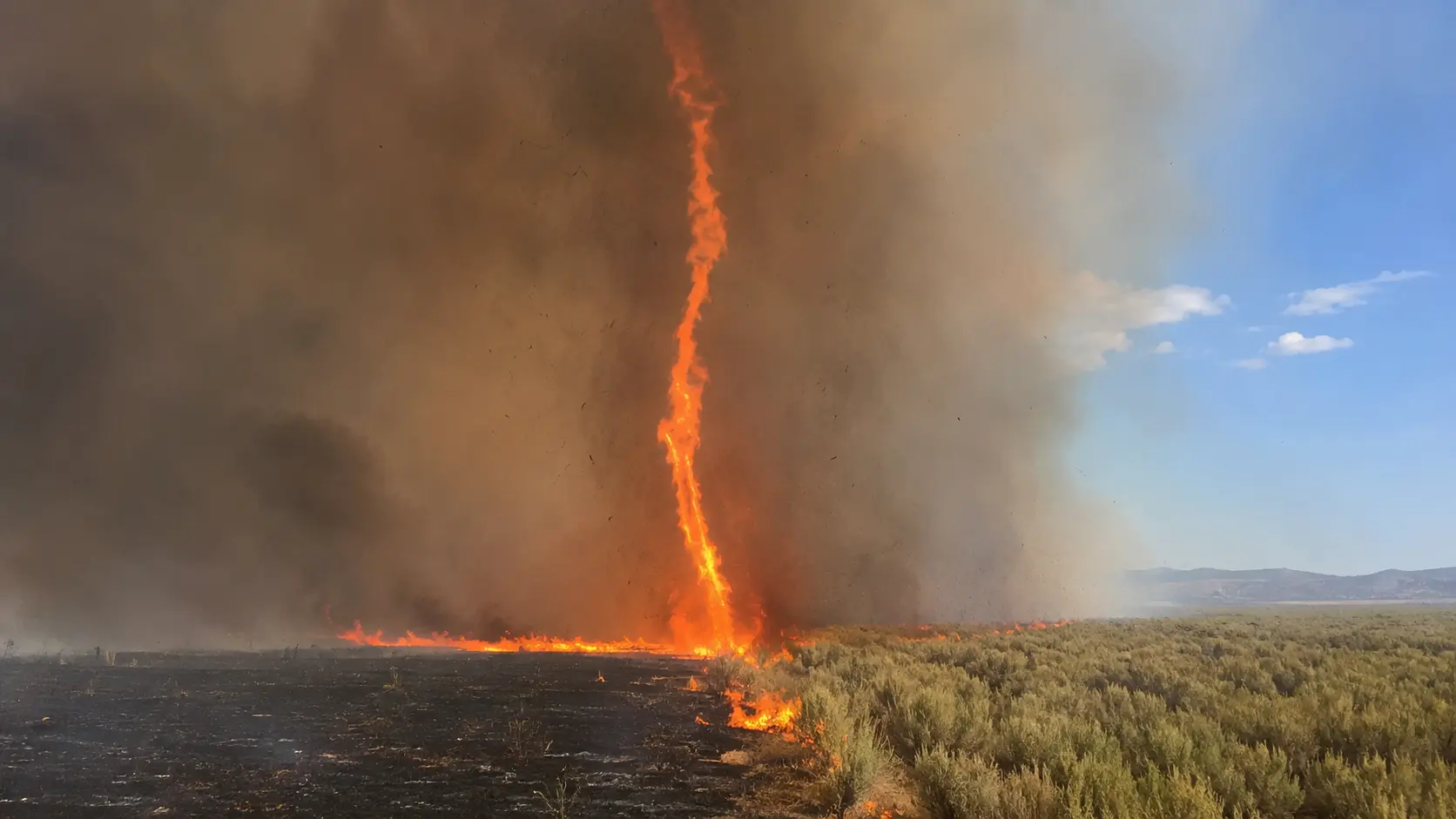 Fire Whirls and Fire Tornadoes: What Causes Them and How Dangerous They Actually Are