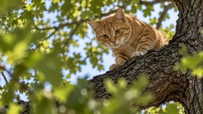 Do Firefighters Actually Rescue Cats From Trees?